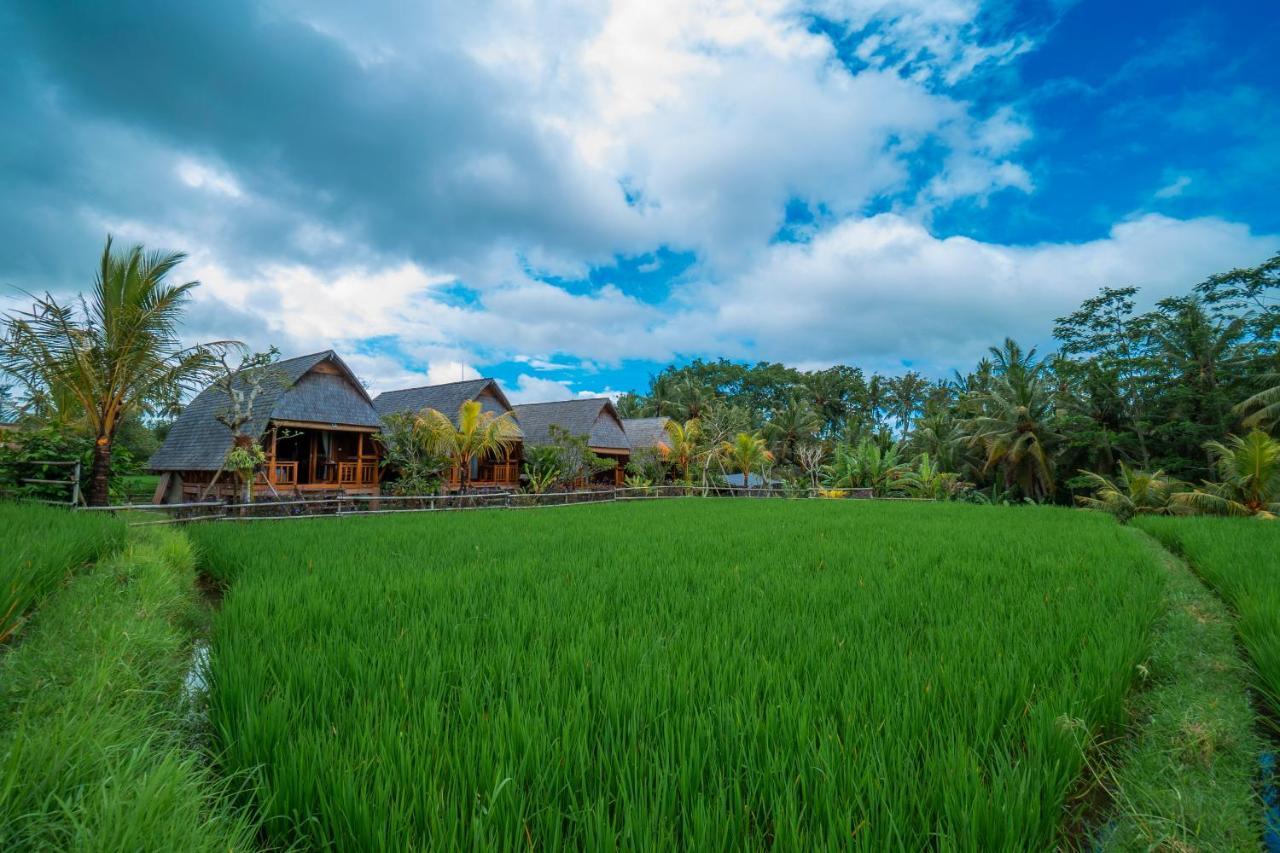 Pb Pondok Gandalangu Garden House Bali Убуд Экстерьер фото