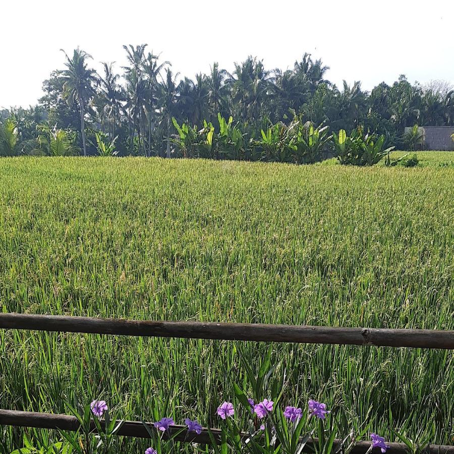 Pb Pondok Gandalangu Garden House Bali Убуд Экстерьер фото